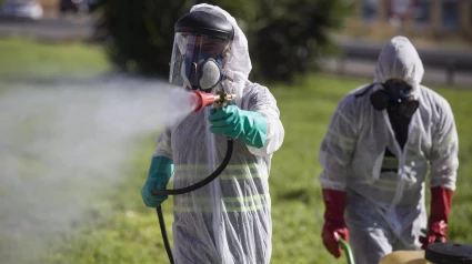 Dos trabajadores durante las labores de fumigación contra los mosquitos causantes del virus del Nilo en Coria del Río