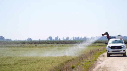 Detalle de las maniobras de fumigación durante la Activación del protocolo de prevención y control del Virus del Nilo en la Puebla del Río
