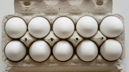 Conservación segura de huevos cocidos y tortillas: claves para evitar riesgos