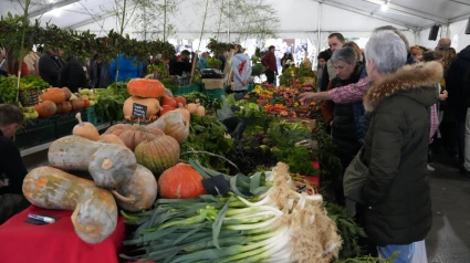 Feria agrícola