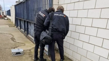 datos criminalidad