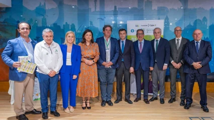 Proyecto Recupera Vida Post-Ictus Cádiz