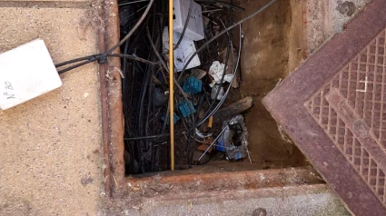 Las ratas dejan sin internet a los vecinos de San Antonio en Mérida