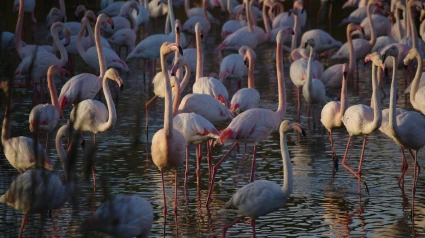Los 12 tesoros imprescindibles de España según National Geographic
