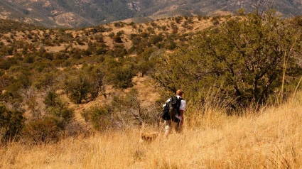 CN8F81 Hiking on the Arizona National Scenic Trail, Gardner Canyon, Coronado National Forest, Sonoran Desert, Sonoita, Arizona, USA.