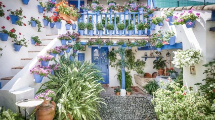San Juan de Palomares, 11
