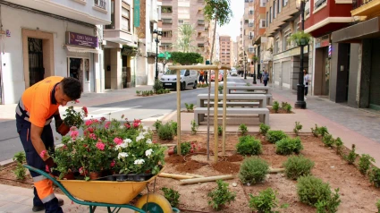 Las obras de la Zona de Bajas Emisiones de Castellón finalizan en la calle Trinidad