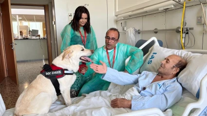19/05/2025 Primera visita en el marco del proyecto 'HospiGos'.El Hospital Santa Caterina de Salt (Girona) ha impulsado 'HospiGos', un proyecto "pionero" en la provincia, que permite, por primera vez, que perros accedan al hospital para visitar a pacientes que no se pueden mover de su habitación y que están ingresados en situación de final de vida o con pronóstico incierto.CATALUÑA ESPAÑA EUROPA GIRONA SALUDIAS