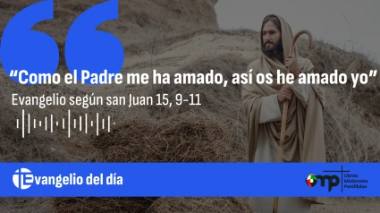 Evangelio del día 22-05