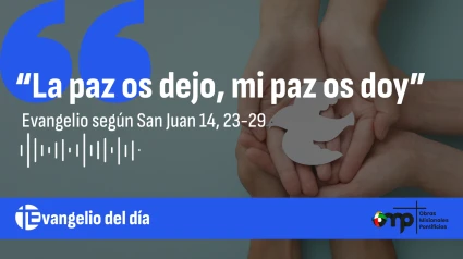 Evangelio del día 25-05