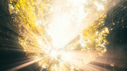 Rayo de sol