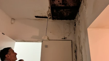 MIHL destrozado