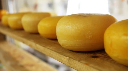 la empresa vallisoletana Queserías Entrepinares S.A.U. ha negado categóricamente que el producto contaminado forme parte de su producción y ha anunciado acciones legales