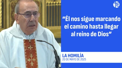Homilía 20-05