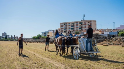 Mérida revive el esplendor del Imperio: el Circo Romano acogerá este jueves su primera gran carrera de cuadrigas
