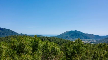El Plan Infoca está listo para afrontar la temporada crítica de riesgo de incendios