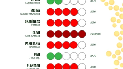 Niveles de polen hasta el 30 de mayo