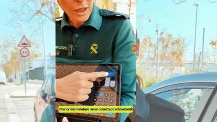 ROBOS COCHE GUARDIA CIVIL