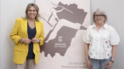El Mérito Solidario de la Diputación de Castellón es para el Colegio de Psicología