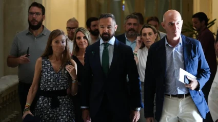 Grupo municipal de VOX