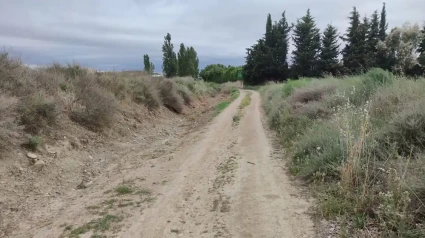 Arreglo de caminos