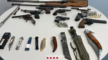 Armes intervingudes durant els escorcolls