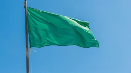 bandera verde playa