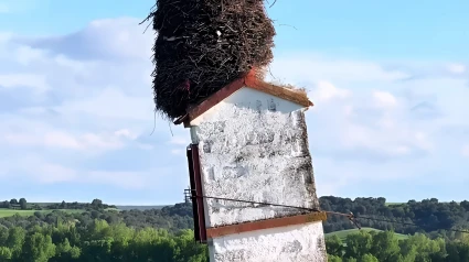 Un nido se encuentra sobre una torre y ha conquistado las redes sociales hasta el punto de convertise en fenómeno turístico