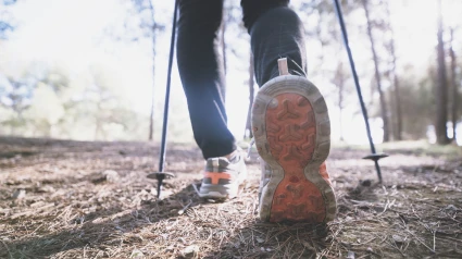 Un senderista caminando por un bosque
