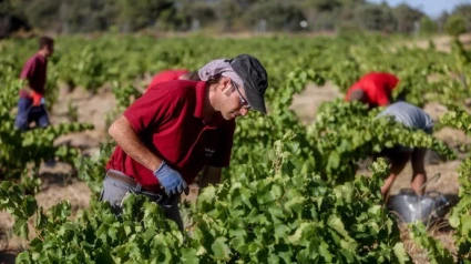 El dinamismo económico y aumento de plantillas ha llevado al aumento de población
