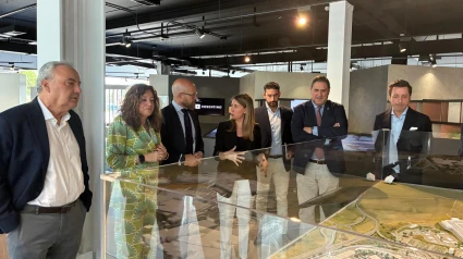 Visita Cosentino