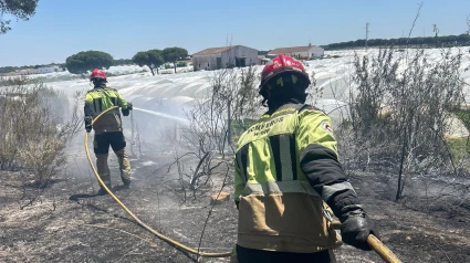 Bomberos Consorcio Provincial