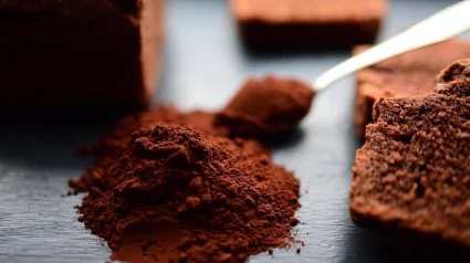 Imagen de recurso de cacao