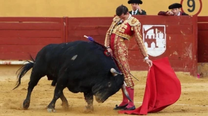 El torero abulense Sergio Rodríguez