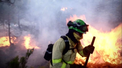 El motivo por el que las abundantes lluvias elevan el riesgo de incendios forestales en Málaga: "Muy inflamable"