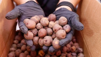 Papas