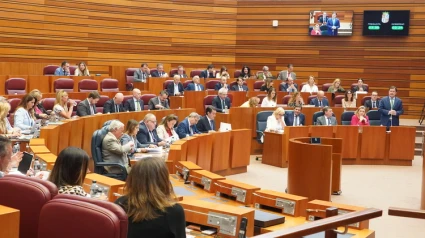 Sesión de pleno en las Cortes