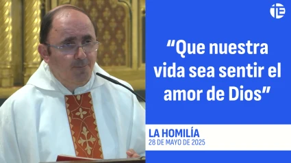 Homilía 28-05