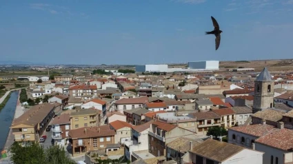 Fustiñana