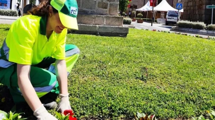 Extremadura generará más de 13.000 contratos en la campaña de verano, un 10% más que en 2024