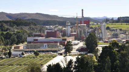 Biofábrica de Ence en Navia (Asturias) FOTO: ABC