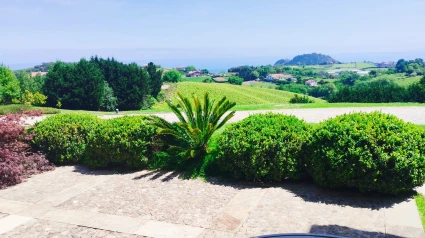 Viñas del Txakoli Iturregi, en Getaria