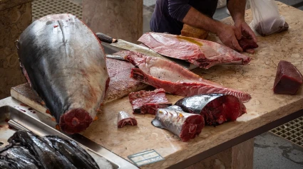 Alcampo Motril nos propone participar en un ronqueo de atún rojo de Almadraba
