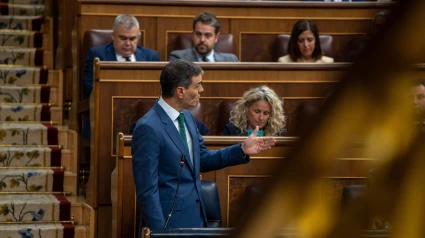 Pedro Sánchez, presidente del Gobierno español durante el pleno del Congreso de los Diputados