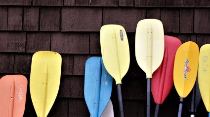 Remos para piragüismo en un campamento de verano