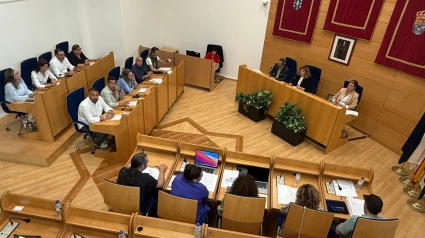 Imagen de la celebración del pleno ordinario de mayo en Narón