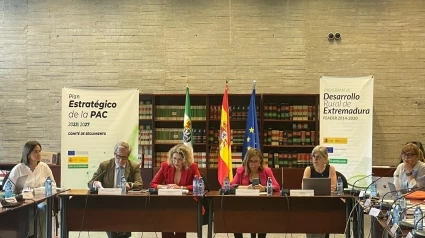 Reunión de la comisión de seguimiento del PDR y el PEPAC