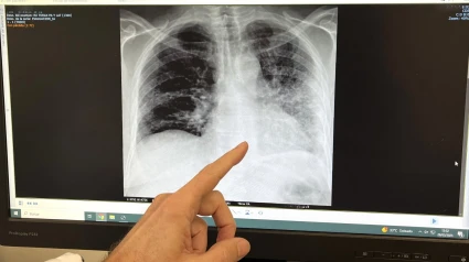 Prueba médica