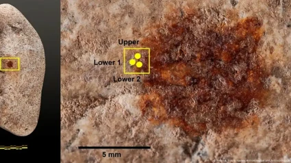 Encuentran en Segovia la huella dactilar más antigua del mundo