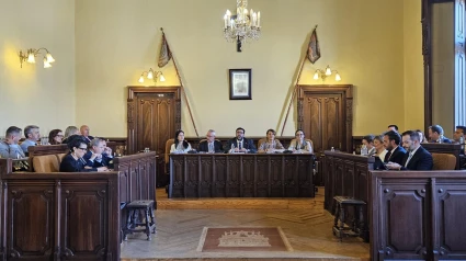 Pleno Ayuntamiento de Ávila
